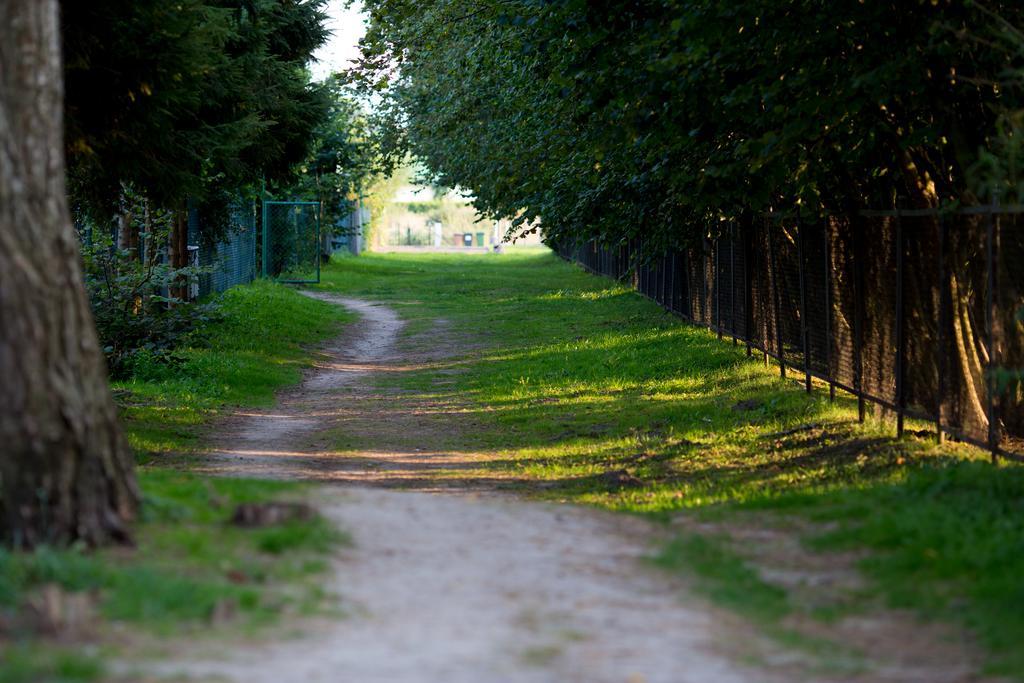Osrodek Wypoczynkowy Klif I Villa Gaski  Bagian luar foto